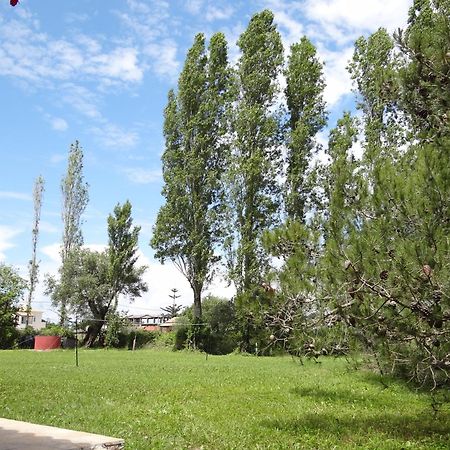 Lefkes Apartments Sidari Sidari  Bagian luar foto